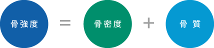 骨強度=骨密度+骨質