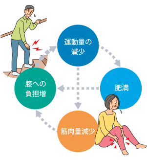 なかでもサルコペニアに注目