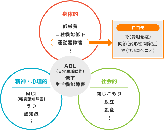 フレイルの原因と構成要素