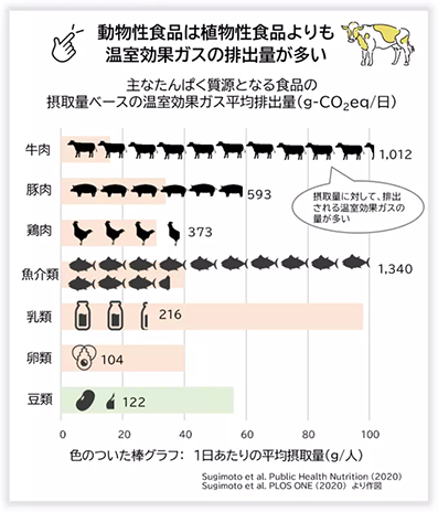 動物性食品は植物性食品よりも温室効果ガスの排出量が多い